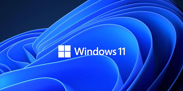 Windows 11 Fresh Install - This PC can't run Windows 11 - The Tech Journal