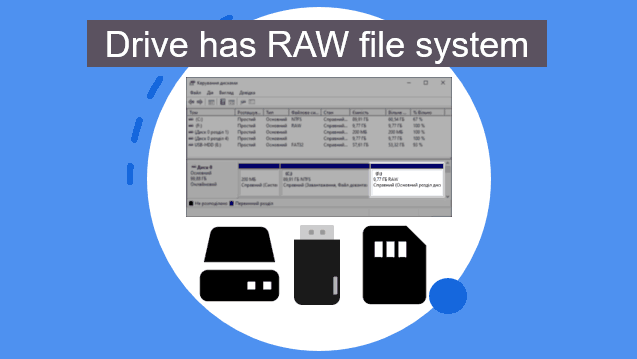Your disk has RAW file system