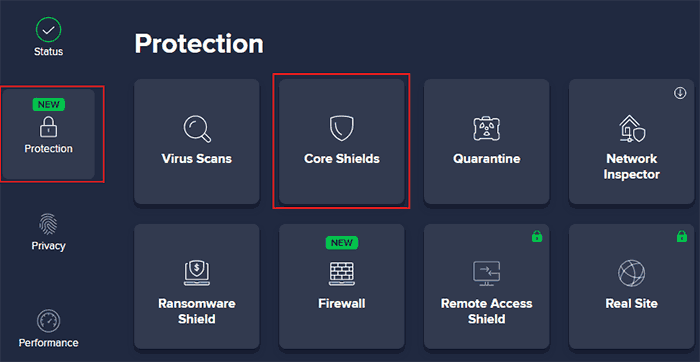 Avast core shields