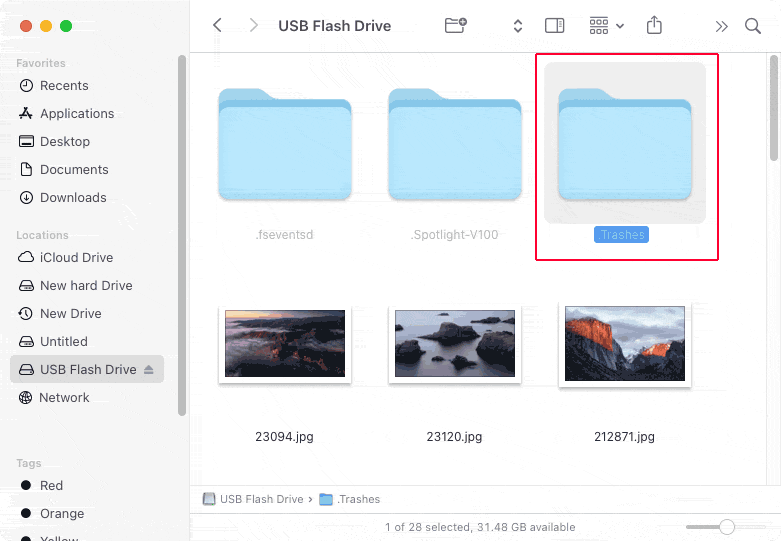 the Hidden .Trashes Folder the Hidden .Trashes Folder