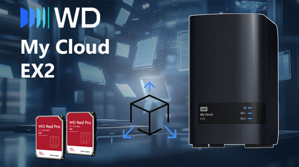 WD My Cloud EX2 2-Disk NAS Recovery | Restore Lost Files